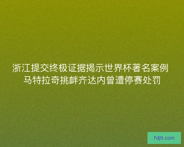 浙江提交终极证据揭示世界杯著名案例 马特拉奇挑衅齐达内曾遭停赛处罚
